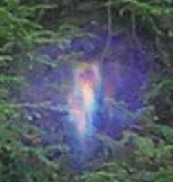 psychic reading