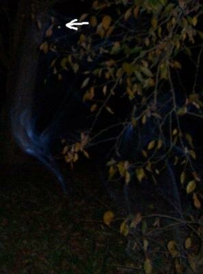 psychic pic
