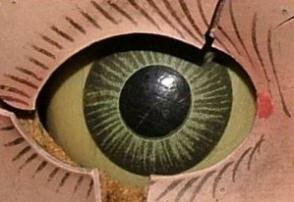 haunted doll