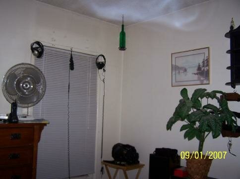 lake isabella paranormal society ghost picture