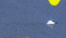 loch ness monster picture