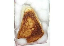 mary on grilled cheese