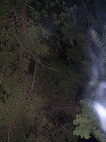 morris canal ghost picture ectoplasm