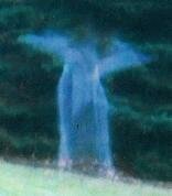 angel picture of the month