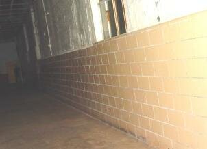 moundsville penitentiary shadow man ghost picture