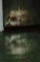 angel pictures