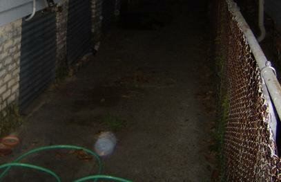 psychic reading new orleans ghost picture