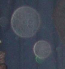 orb photos