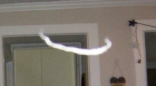 orb picture