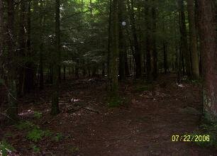 orb picture
