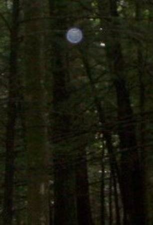 orb picture