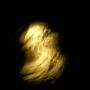psychic reading