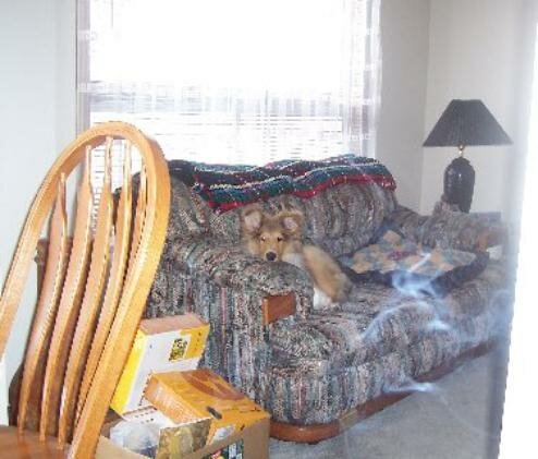 pup ectoplasm ghost picture