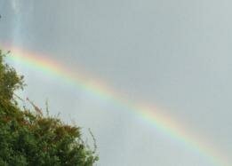 angel rainbow photo