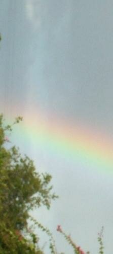 angel rainbow