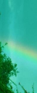 gamma adjusted angel photo