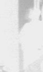 shadow ghost