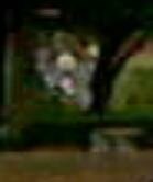 ringwood manor apparition