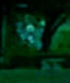 ghost at ringwood manor