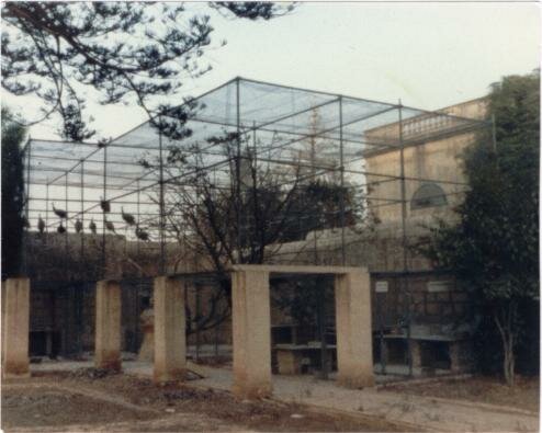 san anton palace malta ghost photo