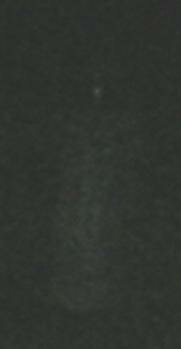 savannah ghost picture