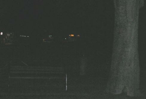 savannah apparition ghost picture