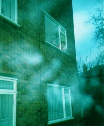 gamma adjusted seven spirits picture