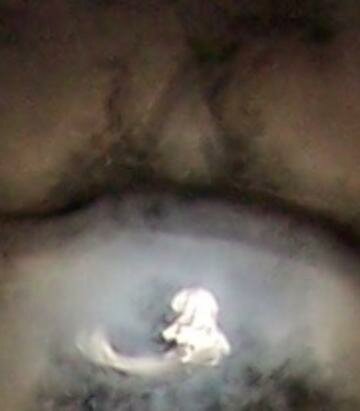 hurricane katrina angel