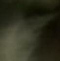 angel face picture