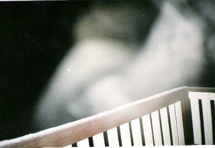 canadian ghost