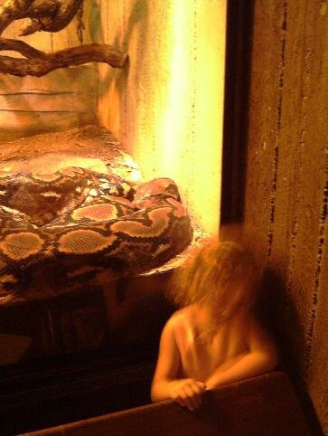 snake ghost picture psychic intuition