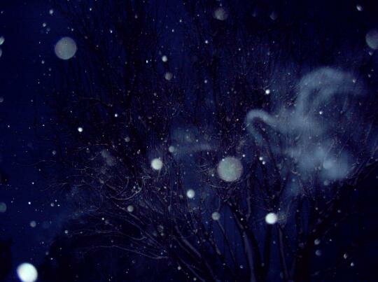 snow angel