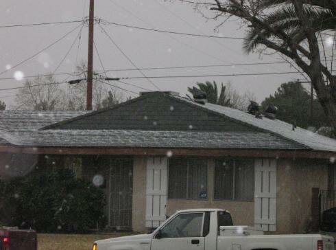snow orbs photo