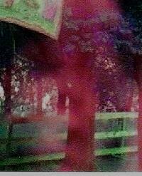 vaporous apparition