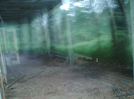 sanitarium ghost pic