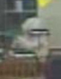 willard library ghost cam