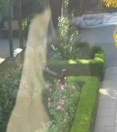 winchester house apparition ghost picture