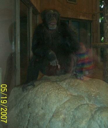 zoo ghost picture