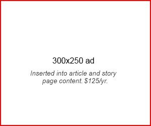 300x250 Ad Space