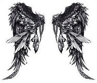 Angel Wings Picture #U