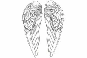 Angel Wings Picture #Y