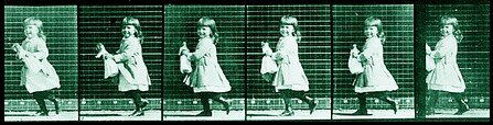 Haunted Dolls