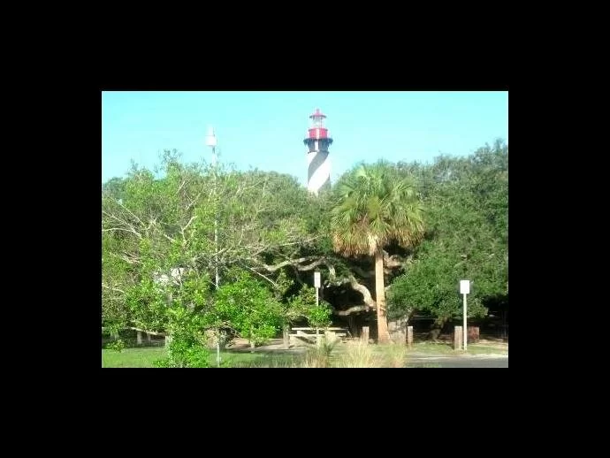 The St. Augustine Lighthouse pokes out above the thick trees.