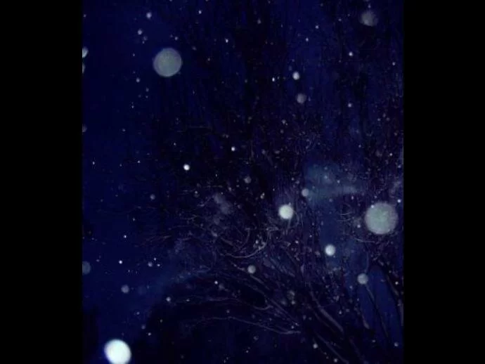 Sheila sent us this picture taken at night of snow falling.