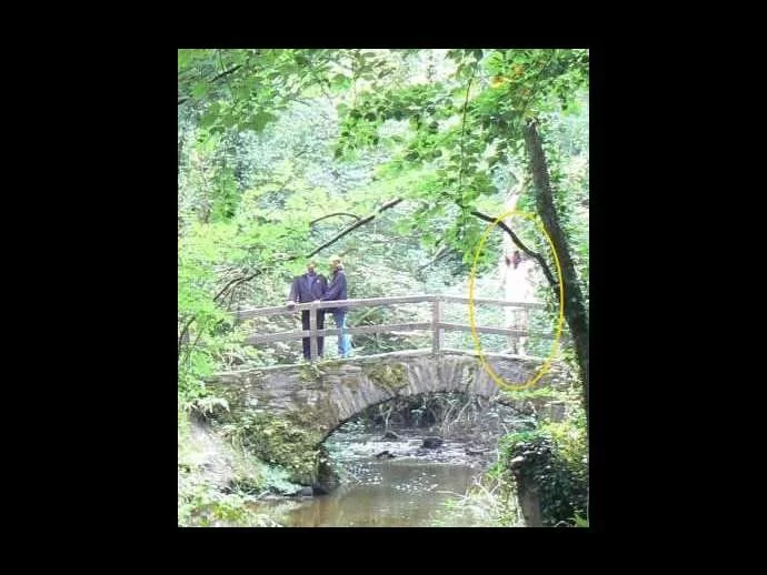 Kingscourt County, Cavan Wishing Well may have an angel standing on its bridge...