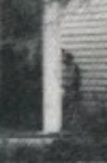 myrtles plantation ghost picture