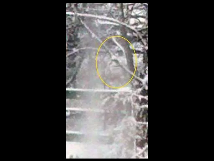 We circled the face that appears behind the ghost anomaly.